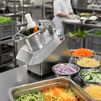 Coupe-légumes électrique commercial en acier inoxydable haute efficacité 500W, trancheuse, processeur, lames multiples pour restaurant