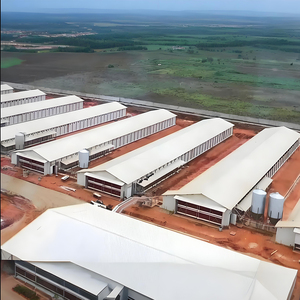 Hiện Đại Trang Trại Phong Cách Đúc Sẵn Kết Cấu Thép Gà Thịt Thiết Kế Cho Gia Cầm Trang Trại Xây Dựng Và Gà Nhà - Product Image 1