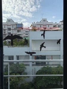 Adhesivo Repelente <span class=keywords><strong>de</strong></span> Aves para Ventanas <span class=keywords><strong>de</strong></span> Plástico Moderno, Reutilizable y Sostenible, Previene que las Aves Migratorias se Golpeen con el Vidrio, Protector <span class=keywords><strong>de</strong></span> Palomas para el Hogar - Product Image 4