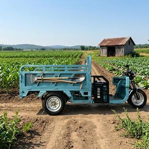 Nuevo Triciclo 2026 de 200W para Carga Pesada, Entrega Agrícola, ET-1500, E-Rickshaw Metálico - Product Image 3