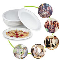 BioKing Plateau ovale compostable en bagasse de 10 et 12 pouces sans PFAS Assiette en fibre de pulpe biodégradable Vaisselle de fête jetable