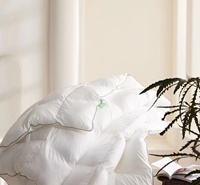 Couette d'hôtel de style simple imprimé blanc pur avec tissu brossé anti-boulochage et respirant pour l'automne