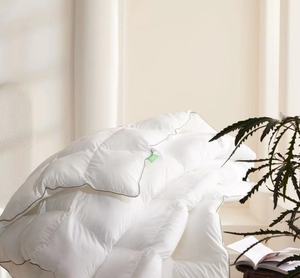 Edredón <span class=keywords><strong>de</strong></span> Hotel <span class=keywords><strong>de</strong></span> estilo Simple con estampado <span class=keywords><strong>de</strong></span> blanco puro con relleno <span class=keywords><strong>de</strong></span> algodón <span class=keywords><strong>de</strong></span> seda <span class=keywords><strong>de</strong></span> <span class=keywords><strong>plumas</strong></span> tela cepillada anti-Pilling y transpirable para otoño - Product Image 2