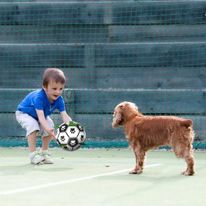 Kinyu stokta orijinal fabrika Dropshipping klasik oyuncaklar interaktif köpek futbol futbol topu orta ve büyük köpek için Tab ile - Product Image 2