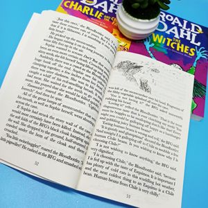 Colección de 24 libros de Roald Dahl, literatura infantil, conjunto de libros de cuentos, lectura educativa temprana para niños, aprendizaje del inglés - Product Image 4