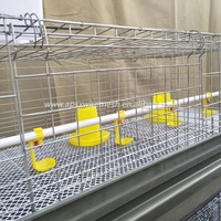 Équipement Automatique d'Élevage de Poulets Fabricants de Cages Verticales Galvanisées Approvisionnement Direct sur Stock