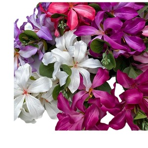 Flores Artificiales de Seda, Bauhinia de Tallo Alto, Lirios y Magnolias de Colores Primaverales para Decoración de Jardines, Paisajes y Bodas - Product Image 1