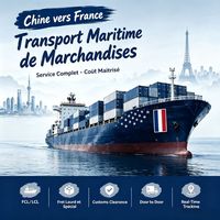 Expédition maritime fiable vers la France Conteneurs flexibles pour marchandises commerciales Dédouanement fluide et assistance complète pour l'expédition de bout en bout