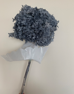 2021 en gros vraie touche <span class=keywords><strong>hortensia</strong></span> <span class=keywords><strong>bouquet</strong></span> fleurs hortensias bush violet séché hortensias conservés - Product Image 6
