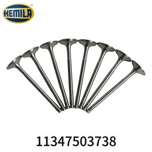 วาล์วไอดีแท้ HEMILA สำหรับรถยนต์ซีรีส์ 3 X1 X5 E53 N46 N62 รหัสอะไหล่แท้ 11347503738 อะไหล่ใหม่ ชุดวาล์วไอดี 8 ตัว ระบบวาล์วเครื่องยนต์ - Product Image 5