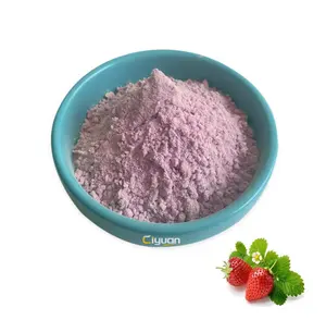 Ciyuan Usine Approvisionnement Naturel Fraise Fruit Poudre Fraise Jus Poudre Fraise Poudre 100% Soluble Dans L'eau