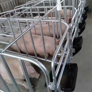 Élevage Animal Chinois : Cages de Maternité et de Gestation pour Truies et Porcs en Ferme Porcine - Product Image 5