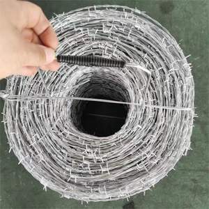 Alambre de Púas Galvanizado por Inmersión en Caliente de 12*14, Doble Hilo, Material de Hierro - Product Image 4