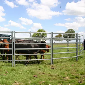 Panneaux de clôtures pour maisons préfabriquées et panneaux de cour pour vaches vivantes, moutons, chevaux, bovins