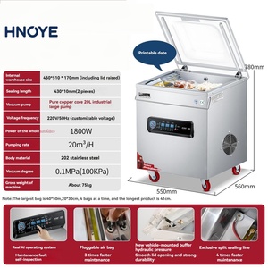 Machine de scellage sous vide à <span class=keywords><strong>double</strong></span> serrage pour sacs de filets de poisson - Product Image 5