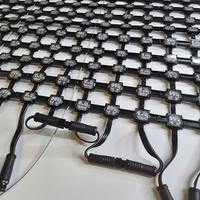 Toile lumineuse codable : résolution 20 mm, filetage couleur intégrale, IP67 DMX512 résistant aux intempéries, optimisant les expériences d'affichage publicitaire UGC