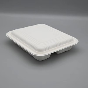 Lonchera Biodegradable de Bagazo de Caña de Azúcar con 4 Compartimentos para Entrega en Restaurantes, Platos Desechables para Fiestas al por Mayor - Product Image 5
