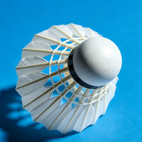 Volant de badminton léger, hautement élastique, 5g, stable, durable, professionnel, hybride, en plumes de canard, tête en liège, niveau tournoi
