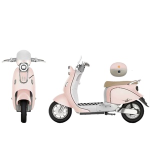 Motocicleta Eléctrica Saige de <span class=keywords><strong>2</strong></span> Ruedas, Color Rojo Cappuccino, Negro, Verde, Rosa, Dorado, Verde Plateado, con Batería de Plomo-Ácido o Litio - Product Image 6