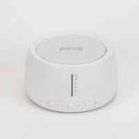 Portable de haute qualité 2025 nouveauté minuterie automatique Ruido Blanco Bebé Robot thérapie Rechargeable bureau 30 Nature Machine sonore