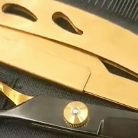 Kit de ciseaux professionnels pour la coupe et l'éclaircissement des cheveux de 5,5 pouces, en acier inoxydable, antistatiques, pour barbier, avec étui en cuir