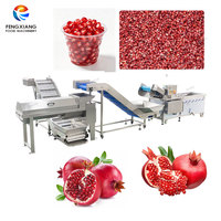 Fabrieksmatige RVS 304 Fruit- en Groente- (granaatappel) was-, schil- en ontpitmachine 0,5t/uur
