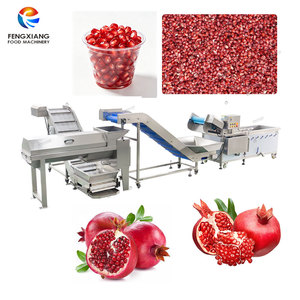 Ligne de traitement des grenades en usine, machine de lavage, de pelage et de dénoyautage des grenades pour usage commercial - Product Image 1