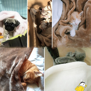 Factory direct supply dog quilt pet blanket thick flannel pet autumn winter cushion <b>nest</b> cat blanket - Product Image 5