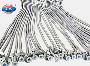 Mangueras de Gas de Alta Presión con Revestimiento de PTFE y Trenzado de Acero Inoxidable para la Industria Química, Alimentaria, de Bebidas, Gasolineras y Farmacéutica, Resistentes a la Corrosión - Product Image 2