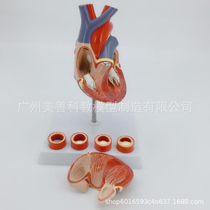 4/ - Product Image 3
