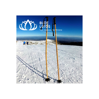 Bâtons de ski en bambou Snowboard créez votre propre équipement de ski entièrement personnalisé à partir de bambou