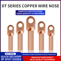 Borne de câblage DT en cuivre pour câble DT 6-300mm, protection de connexion de batterie, borne de câble électrique en cuivre pur étamé