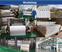 Kertas Transfer Film DTF Berkualitas Tinggi & Film Cetak Ukuran Kustom A3 A3+ A4 30cm 33cm 43cm 60cm Ukuran Gulungan Film PET
