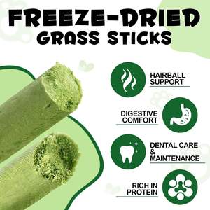 OEM/ODM Palitos de Hierba Comestibles para Gatos y Perros - Snack Masticable para el Cuidado Dental e Inmunológico, Natural, de Rápida Absorción y Seguro - Product Image 2