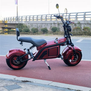 Scooter Eléctrico Barato de China, Bicicleta Eléctrica, Patineta Eléctrica, Motocicleta, Triciclo Eléctrico <span class=keywords><strong>para</strong></span> Adultos con Discapacidad en Venta - Product Image 5