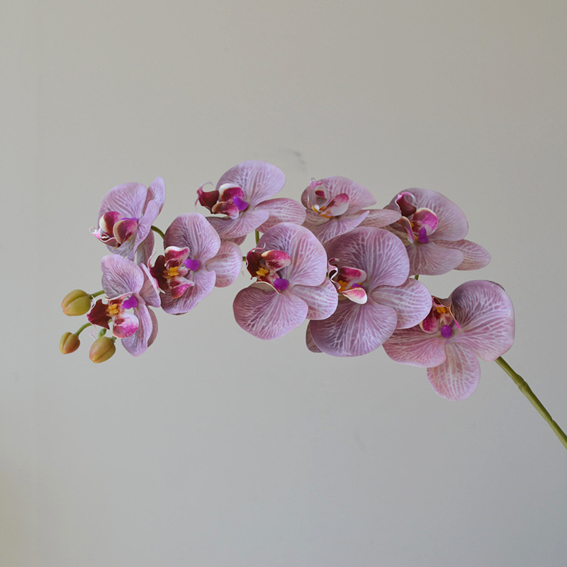 Mist purple
