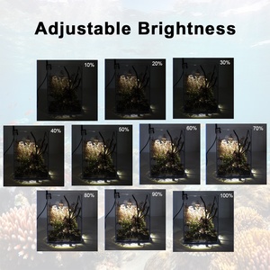 Mini pecera moderna, luz <span class=keywords><strong>LED</strong></span>, <span class=keywords><strong>foco</strong></span> de paisaje regulable para <span class=keywords><strong>acuario</strong></span>, vivero, terrario, forma cuadrada de plástico para caja de estar - Product Image 3