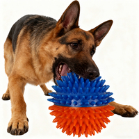 Balle d'entraînement pour chien en TPR à picots, avec son couineur, design original, résistance puissante à la mastication pour l'entraînement professionnel des animaux de compagnie - Personnalisable