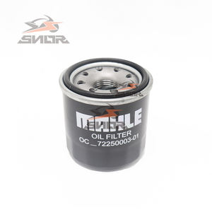 SNOR fornitore di fabbrica triciclo filtro olio filtro carburante AN101190 tre ruote pezzi di ricambio per Bajaj <span class=keywords><strong>RE</strong></span> Tuk Tuk parti del motore - Product Image 1