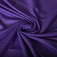 2025 Factory Custom Violet Atmungsaktive MTB/BMX/MX Jersey Sport oberteile für Männer Frauen
