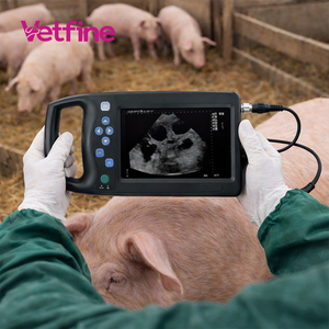 Tragbares Veterinär-Ultraschallgerät mit mechanischer Sonde für Trächtigkeitsuntersuchungen bei Tieren - Product Image 1