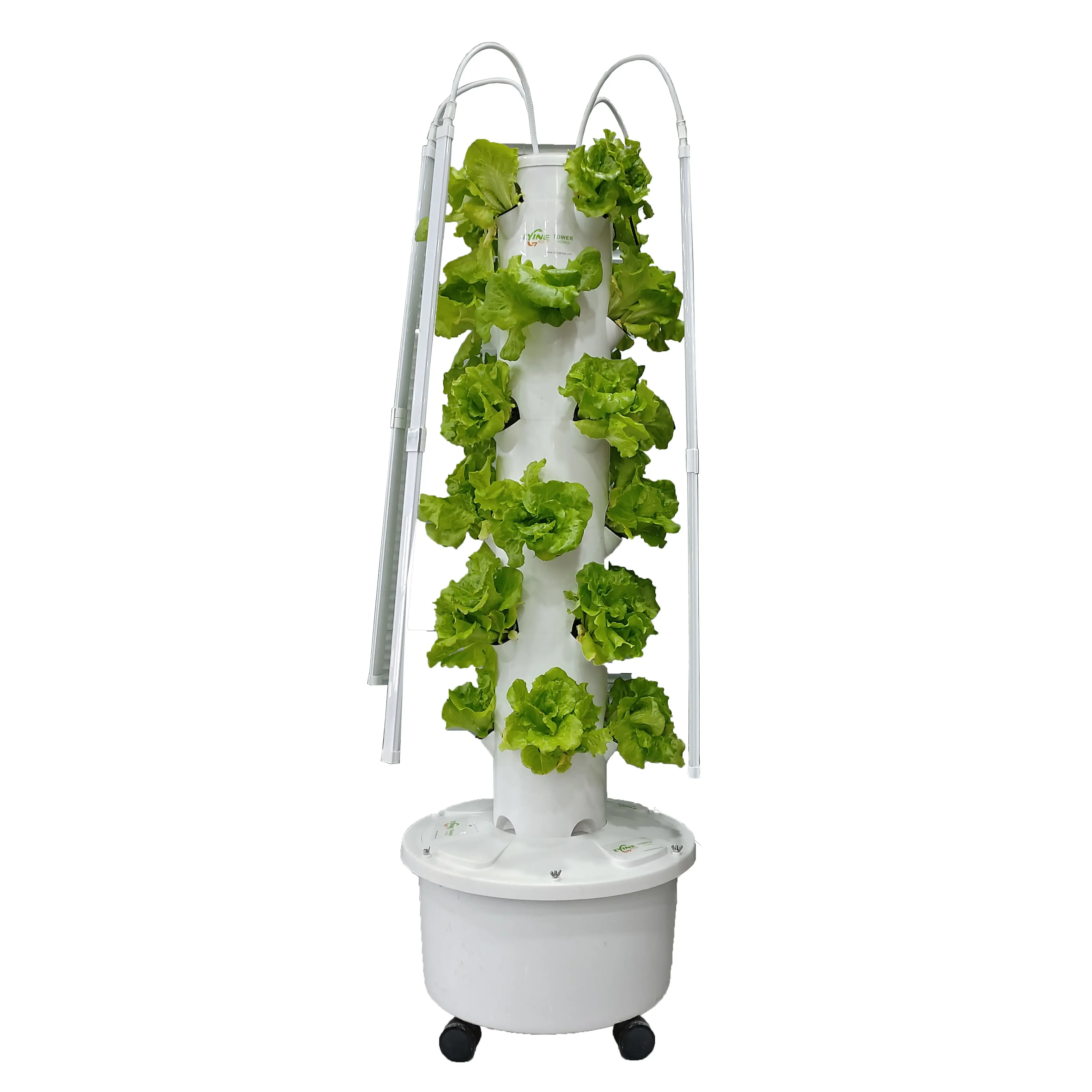 Manufacture Produce Lyinevertical Hydroponic System Automatic System Hydroponics Smart System