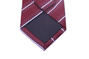 Cravatta sottile da <span class=keywords><strong>uomo</strong></span> di vendita calda cravatta da lavoro lavorata a maglia all'ingrosso cravatta da lavoro in poliestere di moda - Product Image 6