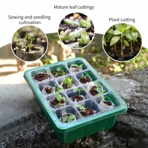 Plateaux de culture en PET pour <span class=keywords><strong>semis</strong></span> avec dôme haut et base profonde, écologiques et respirants pour jardin domestique - Product Image 2