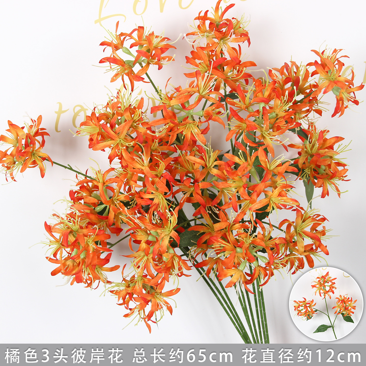 Orange three-headed spider lily branch