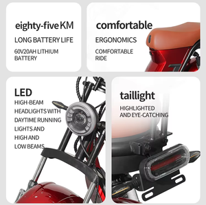 Bicicleta Eléctrica de 1500W con Motor Trasero sin Escobillas, Aleación de Aluminio, Batería de Litio de 60V, Suspensión Hidráulica, Velocidad de 50km/h, 200kg - Product Image 2