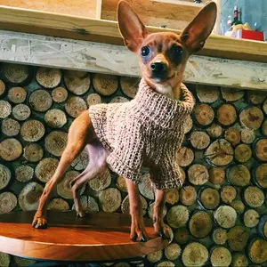 Pull chaud d'hiver pour chien et chat, chandail tricoté pour animaux de compagnie