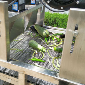 High Efficient 3.5m Long Leaf <b>Vegetable</b> Bubble Cleaning and Drying <b>Production</b> Line Is Hot Selling - Product Image 2