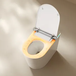 Bidet a pavimento per WC Smart Tankless wc per Bidet ciotole per wc senza montatura e Water Smart wc