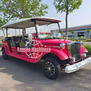 Bus de tourisme électrique de luxe 5 places 2025, véhicule personnalisé pour passagers et touristes avec certification CE - Product Image 1